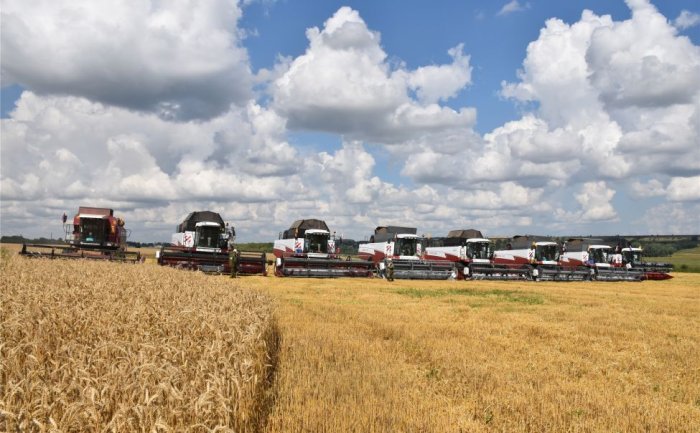 Аграриям Республики Чувашия осталось убрать незначительную часть рапса, основная страда завершена Аграриям Республики Чувашия осталось убрать незначительную часть рапса, основная страда завершена