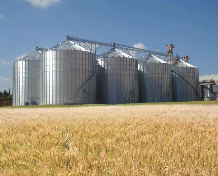 В особой экономической зоне «Орел» полным ходом идет строительство высокотехнологичного элеватора В особой экономической зоне «Орел» полным ходом идет строительство высокотехнологичного элеватора