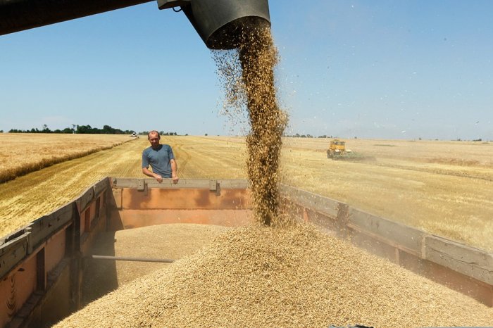 В Орловской области намолочено свыше 3,4 млн тонн зерна, продолжается уборка масличных культур В Орловской области намолочено свыше 3,4 млн тонн зерна, продолжается уборка масличных культур