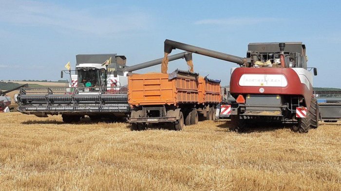 Посевная площадь зерновых и зернобобовых культур в Чувашии сократилась на 1,6% Посевная площадь зерновых и зернобобовых культур в Чувашии сократилась на 1,6%