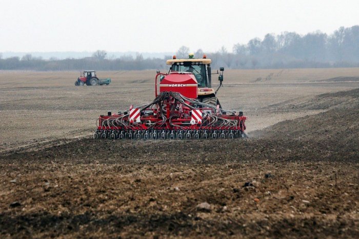 Яровой сев зерновых культур проведен на площади 5 млн га или 9,8% к прогнозной площади посева 2021 года