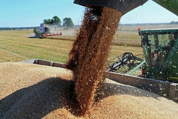 В Орловской области уже намолотили почти три миллиона тонн зерновых В Орловской области уже намолотили почти три миллиона тонн зерновых