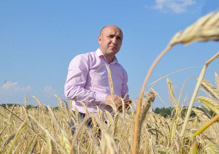 В Чувашии посеяно 100,5 тыс. га озимых зерновых под урожай текущего года