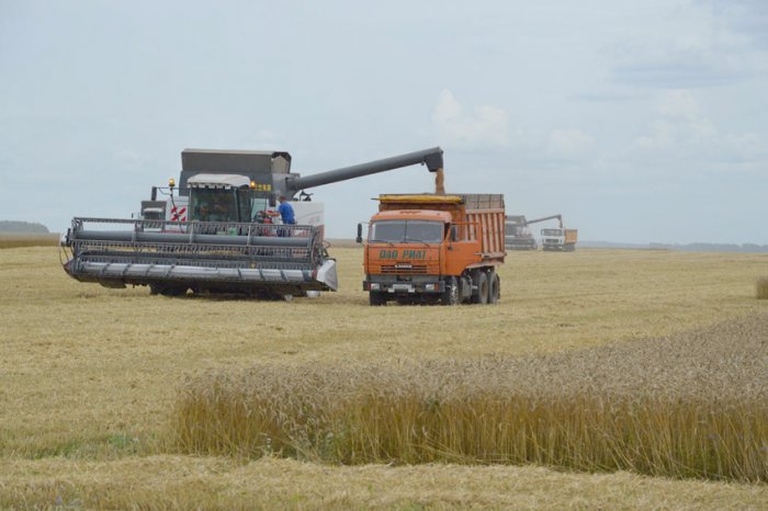 Производители зерновых в Ивановской области получат господдержку Производители зерновых в Ивановской области получат господдержку