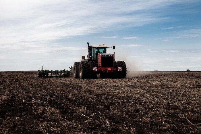 В Нижегородской области планируют засеять зерновыми культурами почти 626 тыс гектаров В Нижегородской области планируют засеять зерновыми культурами почти 626 тыс гектаров
