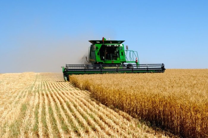 В Республике Чувашия реализуется 124 инвестпроектов в области агропромышленного комплекса на сумму более 3,5 млрд рублей В Республике Чувашия реализуется 124 инвестпроектов в области агропромышленного комплекса на сумму более 3,5 млрд рублей