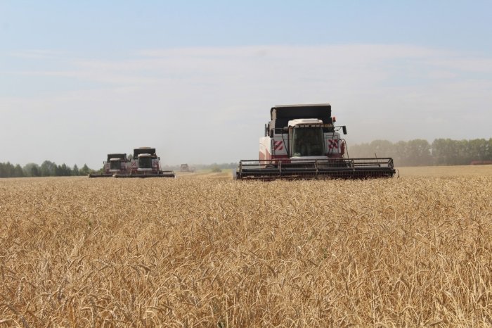 В Республике Башкирии уборка зерновых завершена на 95% В Республике Башкирии уборка зерновых завершена на 95%