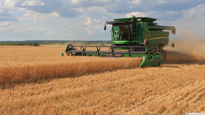 В Рязанской области убрано 2,4 млн тонн зерна В Рязанской области убрано 2,4 млн тонн зерна