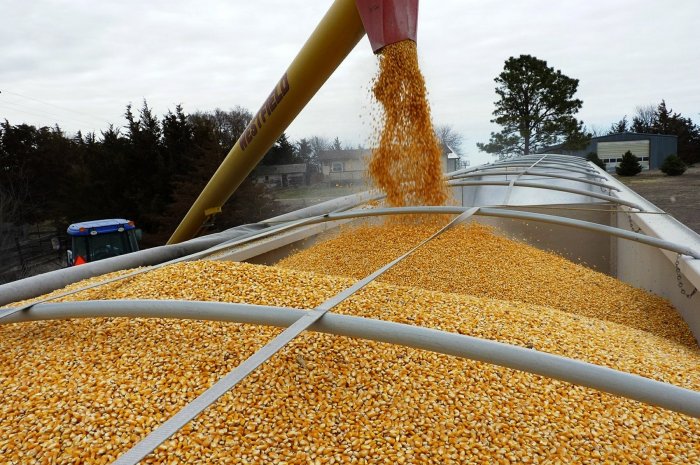 Украина увеличила импорт продуктов питания в 2021 году Украина увеличила импорт продуктов питания в 2021 году