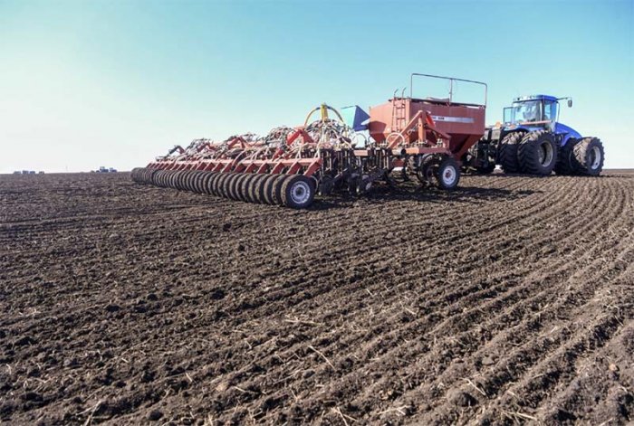Площадь посевов в Воронежской области будет увеличена в текущем году Площадь посевов в Воронежской области будет увеличена в текущем году