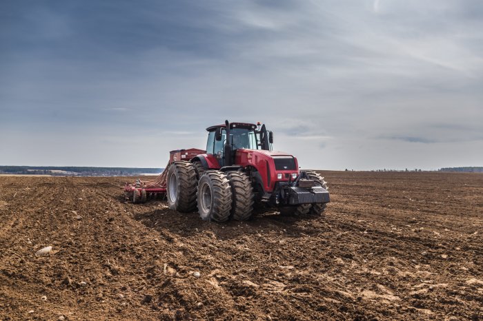 Курская область завершила сев озимых, сократив площадь посадки на 19% Курская область завершила сев озимых, сократив площадь посадки на 19%
