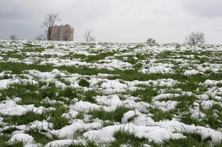 В Ярославской области есть риск гибели части посевов сельскохозяйственных культур В Ярославской области есть риск гибели части посевов сельскохозяйственных культур