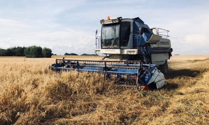В Чувашии намолочено более 500 тыс. тонн зерна В Чувашии намолочено более 500 тыс. тонн зерна
