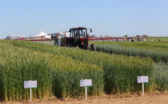 В Калужской области динамично развивается растениеводство В Калужской области динамично развивается растениеводство